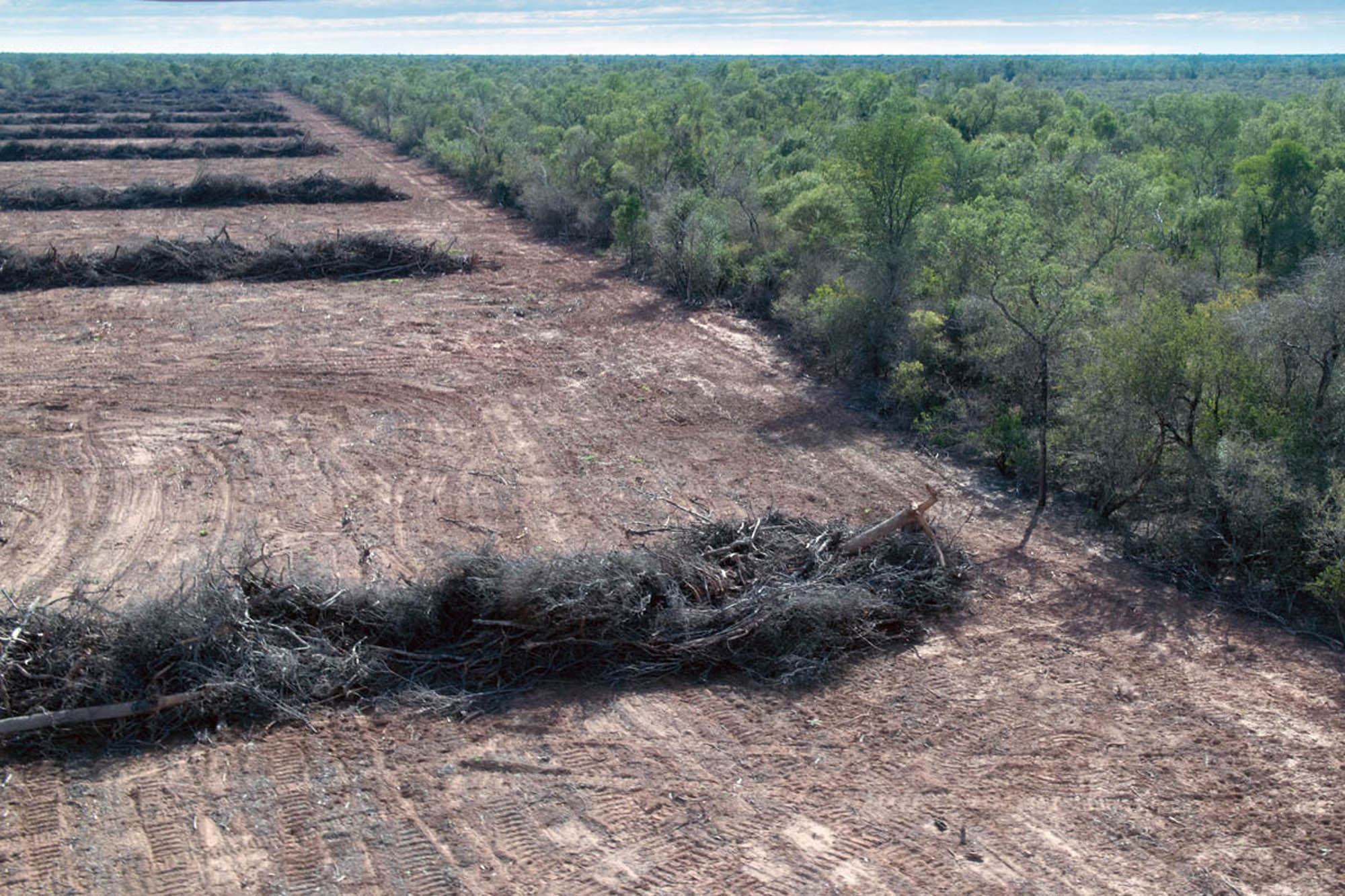 América Latina es una de las tres regiones del mundo donde sigue la deforestación