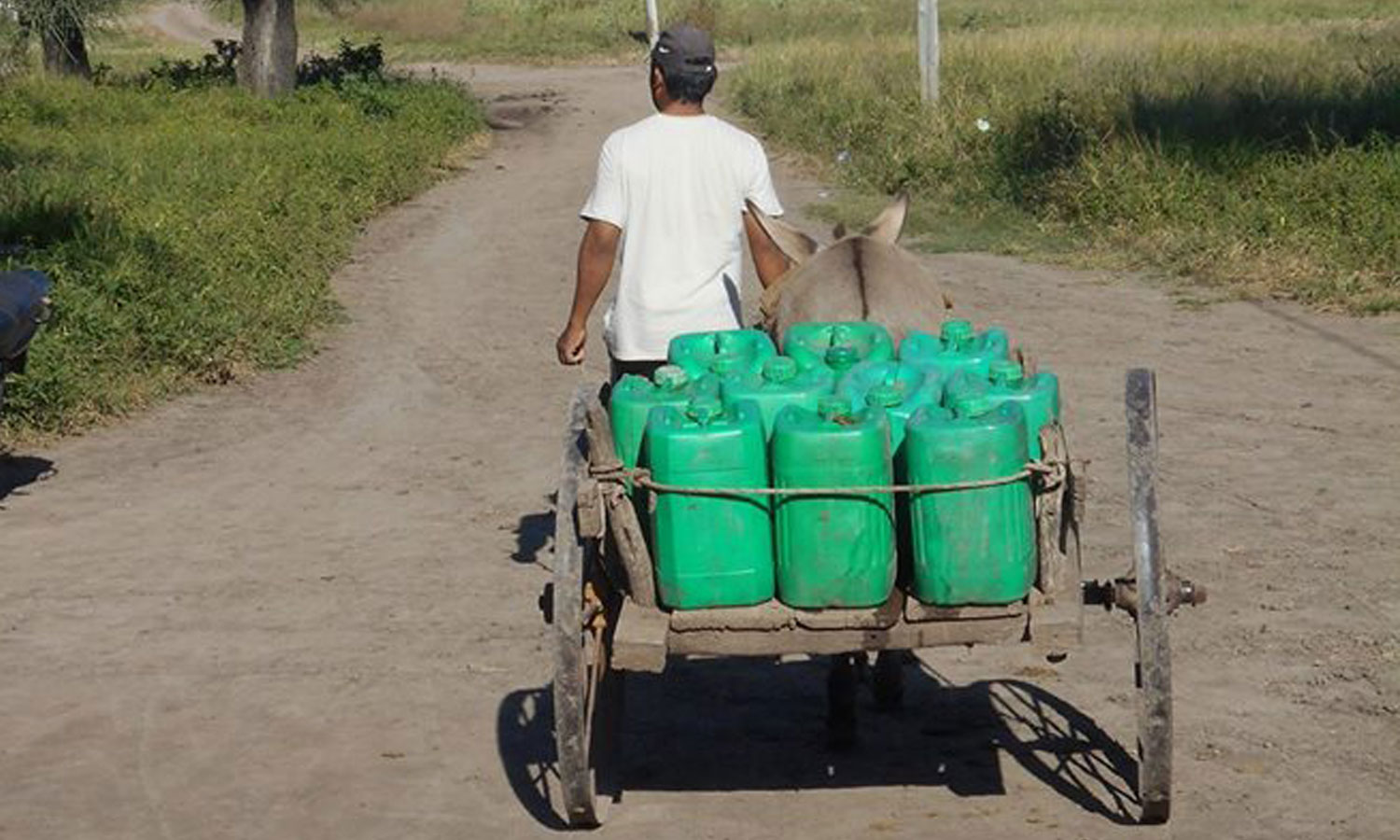 Para buscar agua, usan carros, bicicletas, caballos y hasta burros. | Foto: Paula Juárez