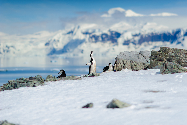 Científicos acampan en Antártida para estudiar glaciares, fósiles y rocas de hace millones de años