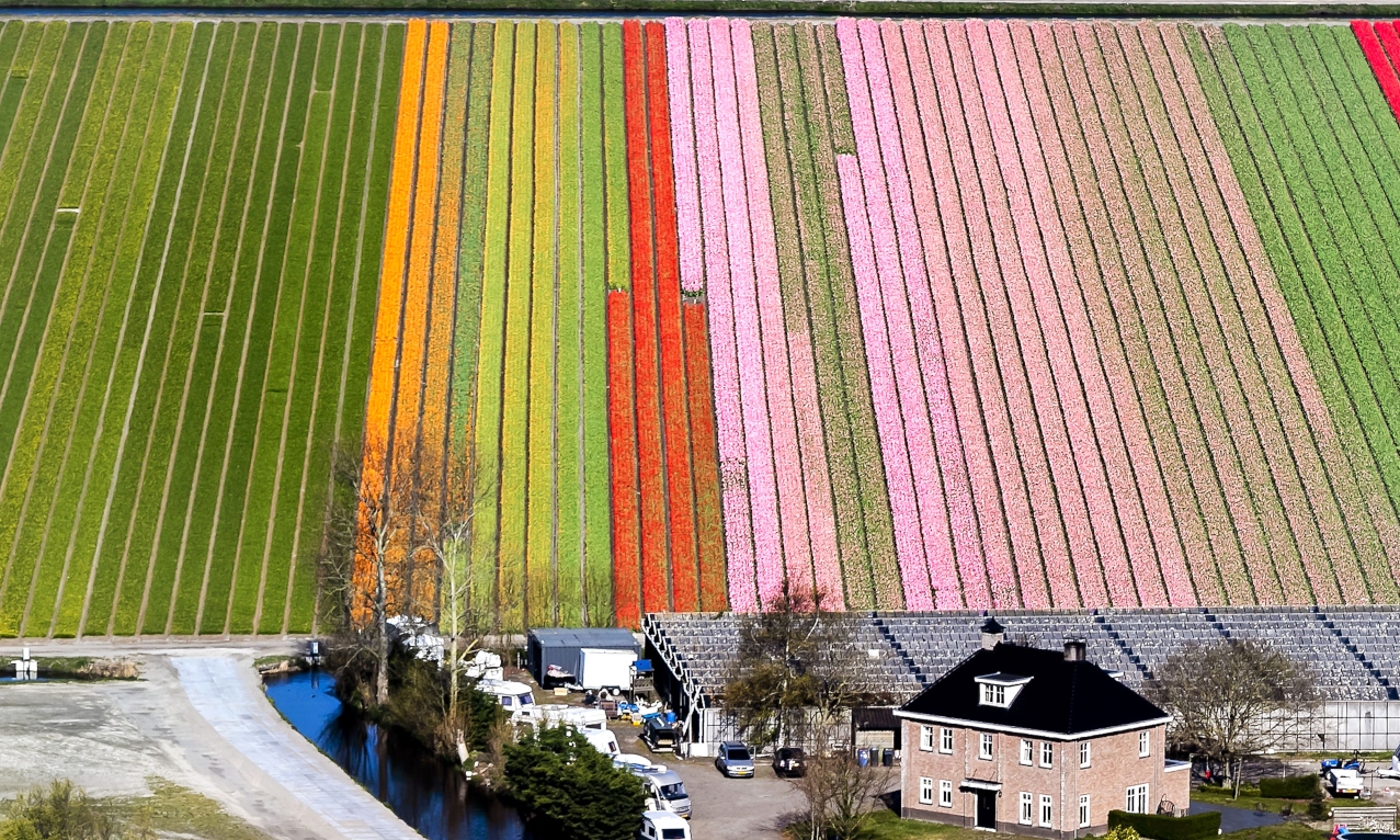 "Jardín de Europa"