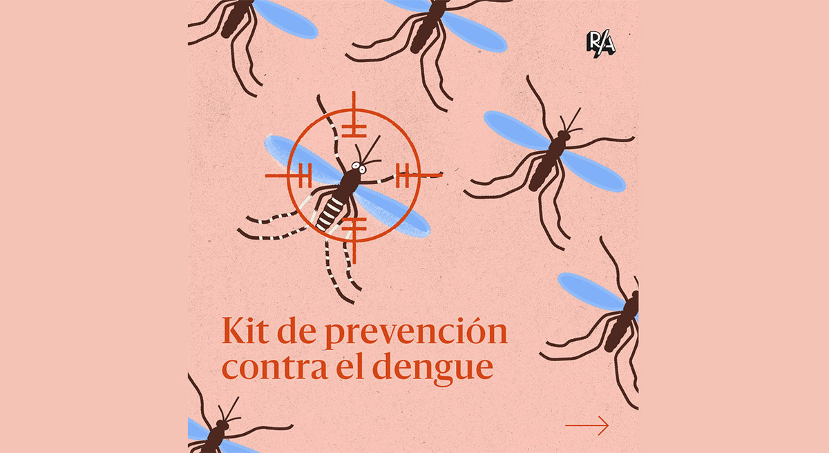 Dengue: una guía para evitar la reproducción de mosquitos y prevenir picaduras