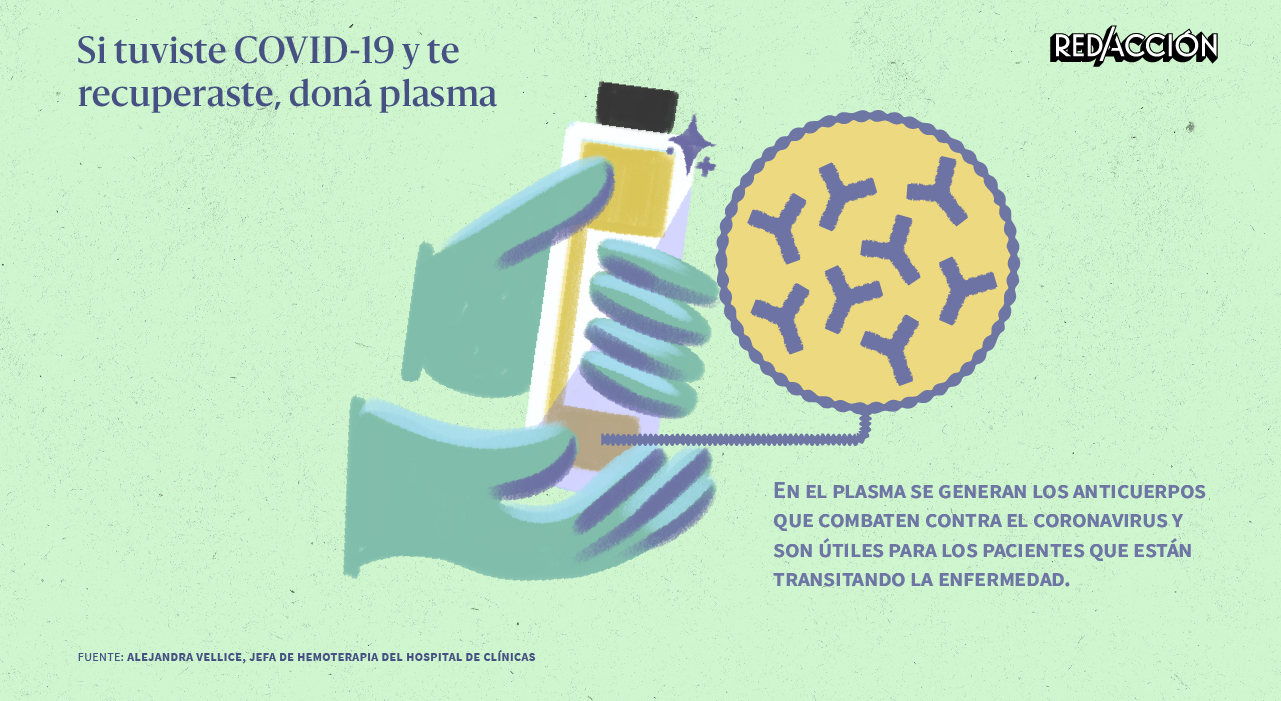 Cómo es el proceso de donación de plasma de pacientes recuperados de COVID-19