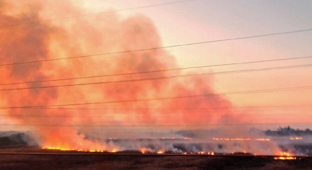 Estudian en Santa Fe la incidencia del fuego en humedales para saber como evitar incendios