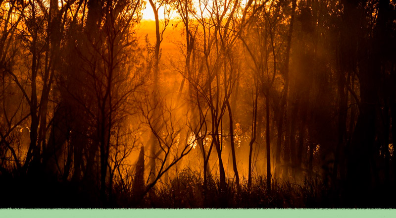 El Delta, la Amazonía, Australia: cuando el fuego refleja el accionar humano