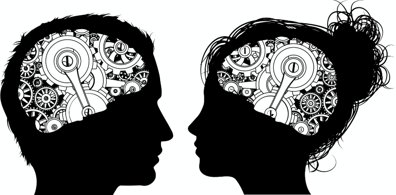 Los algoritmos discriminan: dicen que hay cerebros masculinos y femeninos, pero quizá confundan el sexo con el tamaño