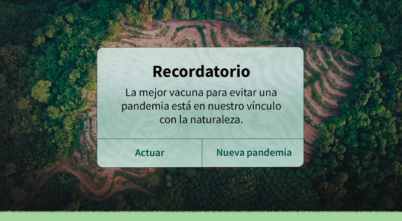 Recordatorio: la mejor vacuna para evitar una pandemia está en nuestro vínculo con la naturaleza