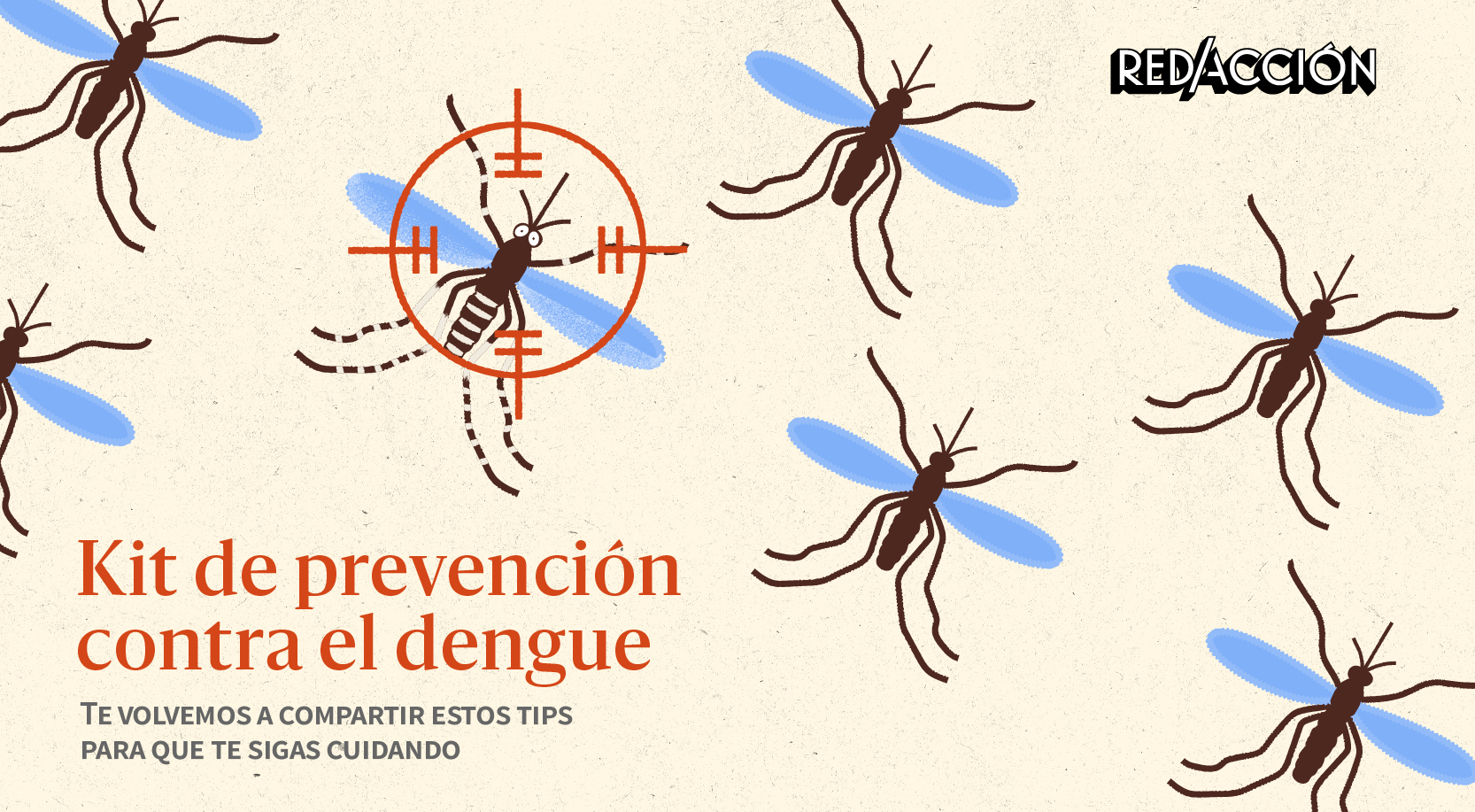 Dengue en Argentina: cómo prevenirlo y cuáles son sus síntomas