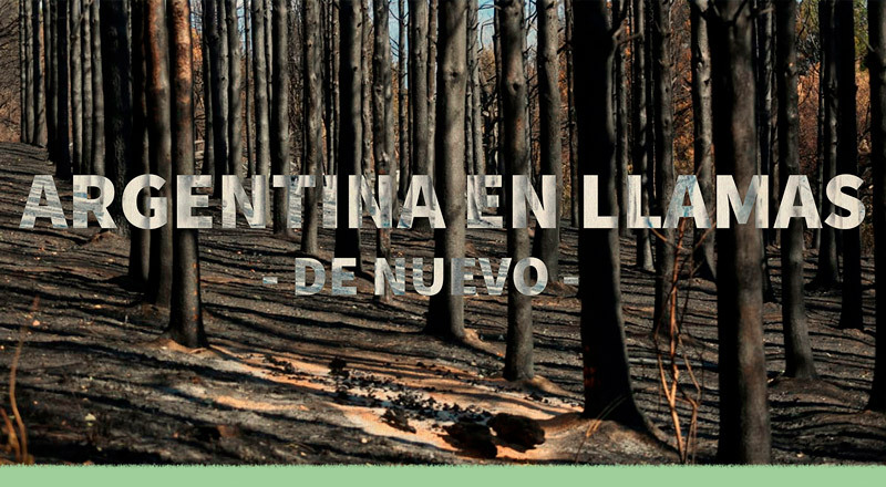 Incendios en Argentina: causas, responsables y efectos