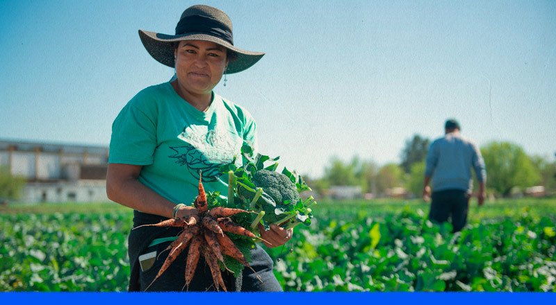 Colonias Agroecológicas: un modelo que ofrece mejores alimentos