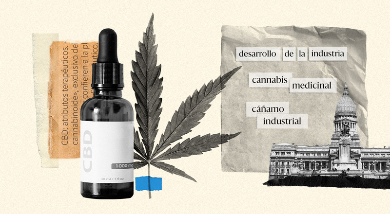 Un frasco de aceite de cannabis junto a la planta. Y el Congreso de la Nación al lado, simbolizando el proyecto del Gobierno.