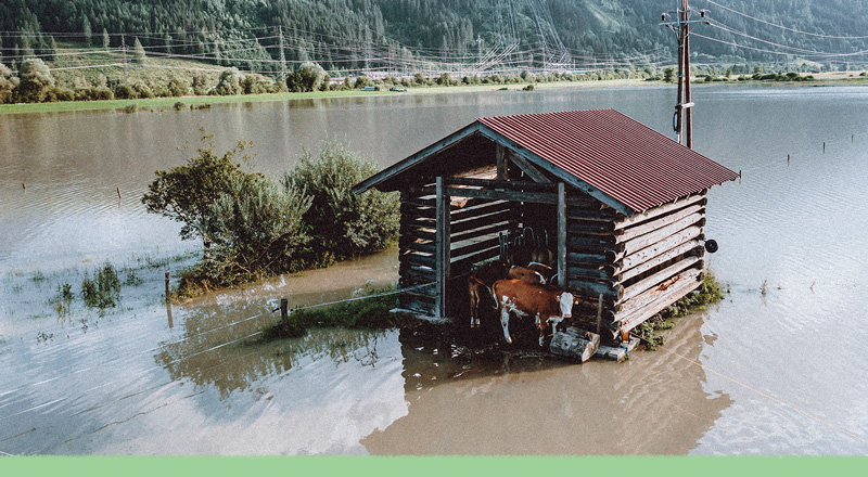 El cambio climático llegó... no con las inundaciones en Europa