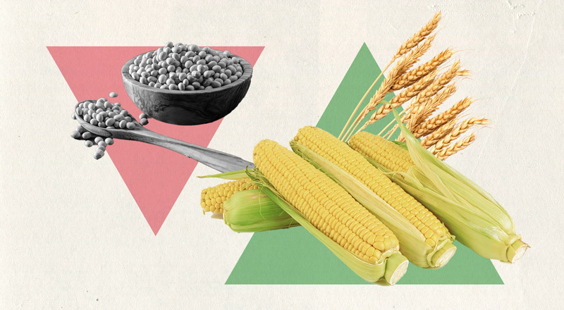 Imagen que muestra el ascenso del maís y el trigo y el descenso de la soja.