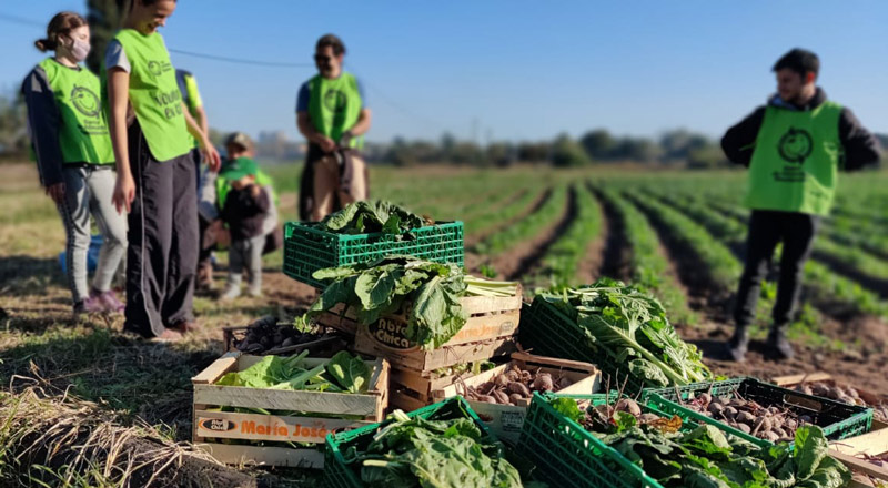 Los bancos de alimentos crean ecosistemas de alimentación integrados