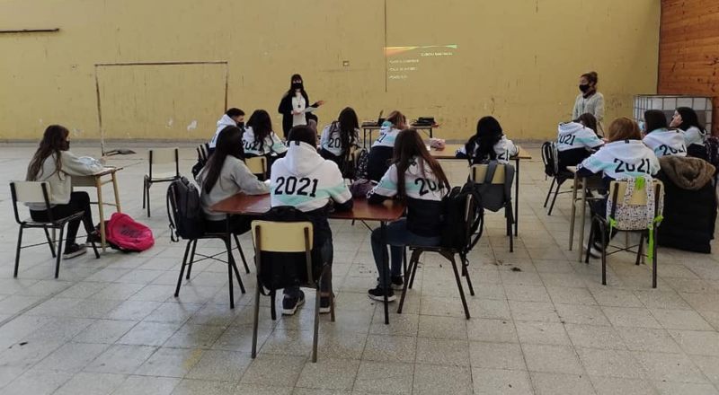 ¿Tiene sentido enseñar igual a todos los alumnos? La instrucción diferenciada por capacidades