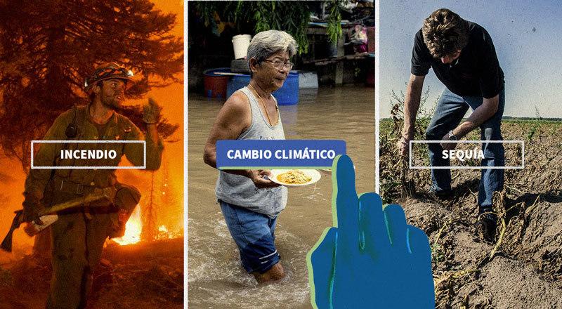 Fotos de los efectos del cambio climático.