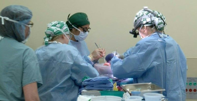 Cirujanos en medio de un trasplante.