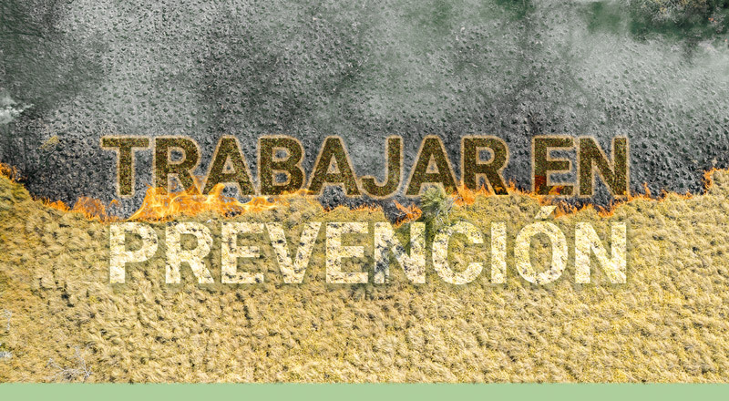 ¿Cómo trabajar en la prevención de incendios y en llegar mejor preparados una vez iniciados?