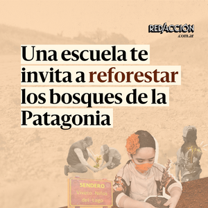 Una escuela te invita a reforestar los bosques de la Patagonia