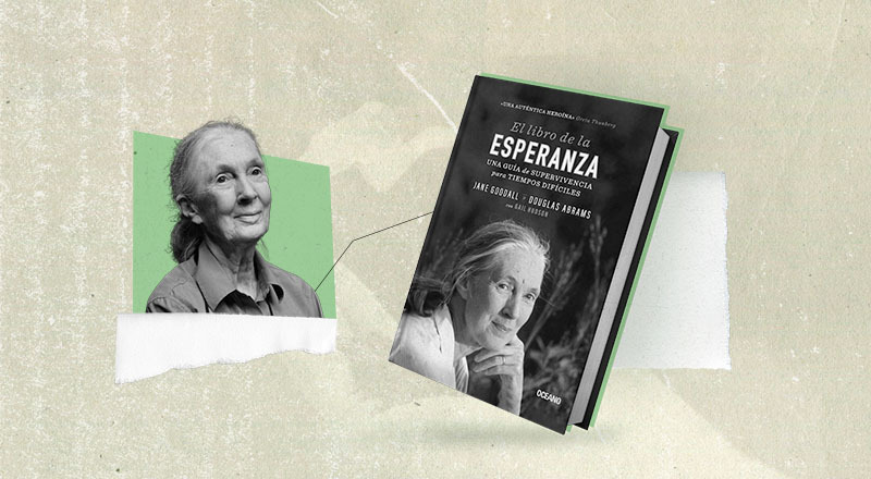 ¿Por qué el nuevo libro de Jane Goodall es una necesaria guía para la acción climática?