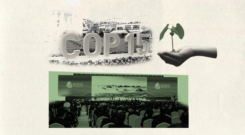 COP15: ¿Por qué la conferencia de biodiversidad merece nuestra atención?