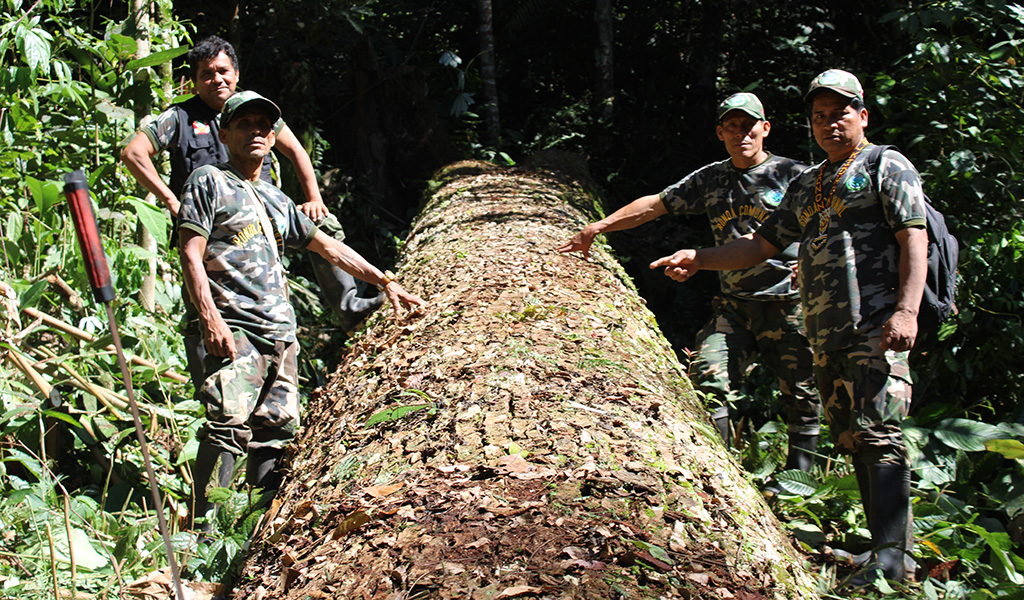 Santa Rosillo: una comunidad amazónica que combate la tala ilegal y el abandono del Estado
