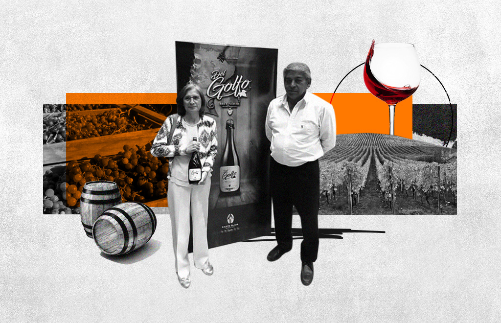 El vino más austral del mundo: cómo es el proyecto comunitario que unió a chacareros y a vecinos de Caleta Olivia (Santa Cruz) 