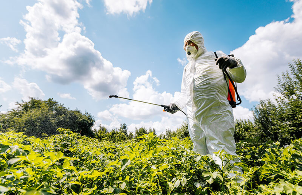 No más glifosato en Misiones: prohibieron el uso del herbicida para proteger el ambiente y la salud - RED/ACCIÓN