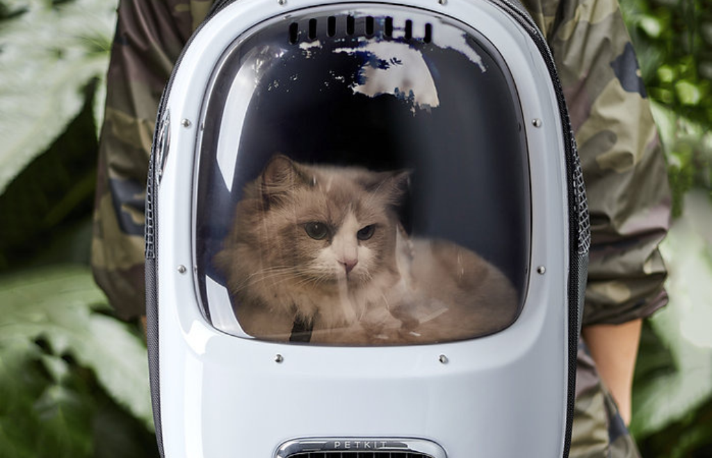 Las ventajas y desventajas de la mochila “nave espacial” para gatitos