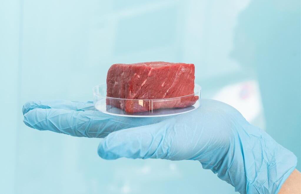 Boom de la carne cultivada: qué es y qué sabemos sobre su seguridad para la salud y el ambiente