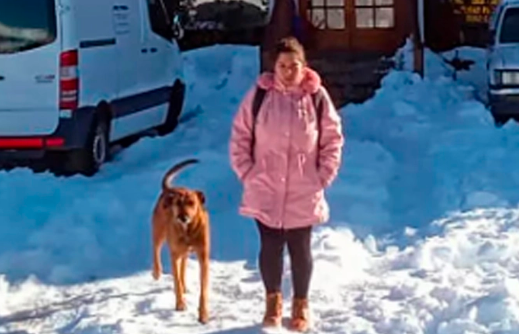 Pampero, el perro que espera ocho horas en la nieve de Caviahue que salga de trabajar la mujer que lo adoptó