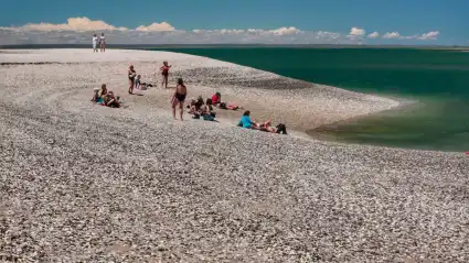 La playa de agua cristalina y caracoles blancos: parece el Caribe, pero es Patagonia