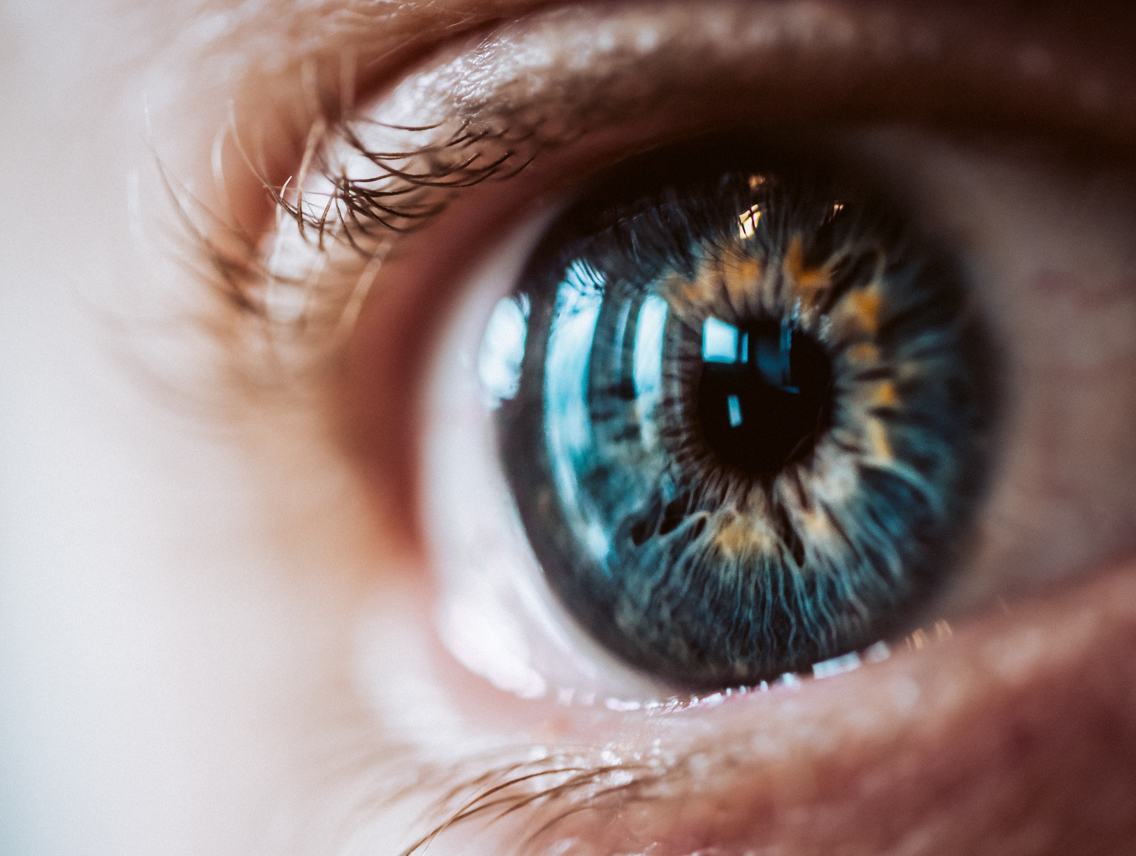 Un estudio sugiere que los ojos azules no son realmente de ese color: cuál es la explicación