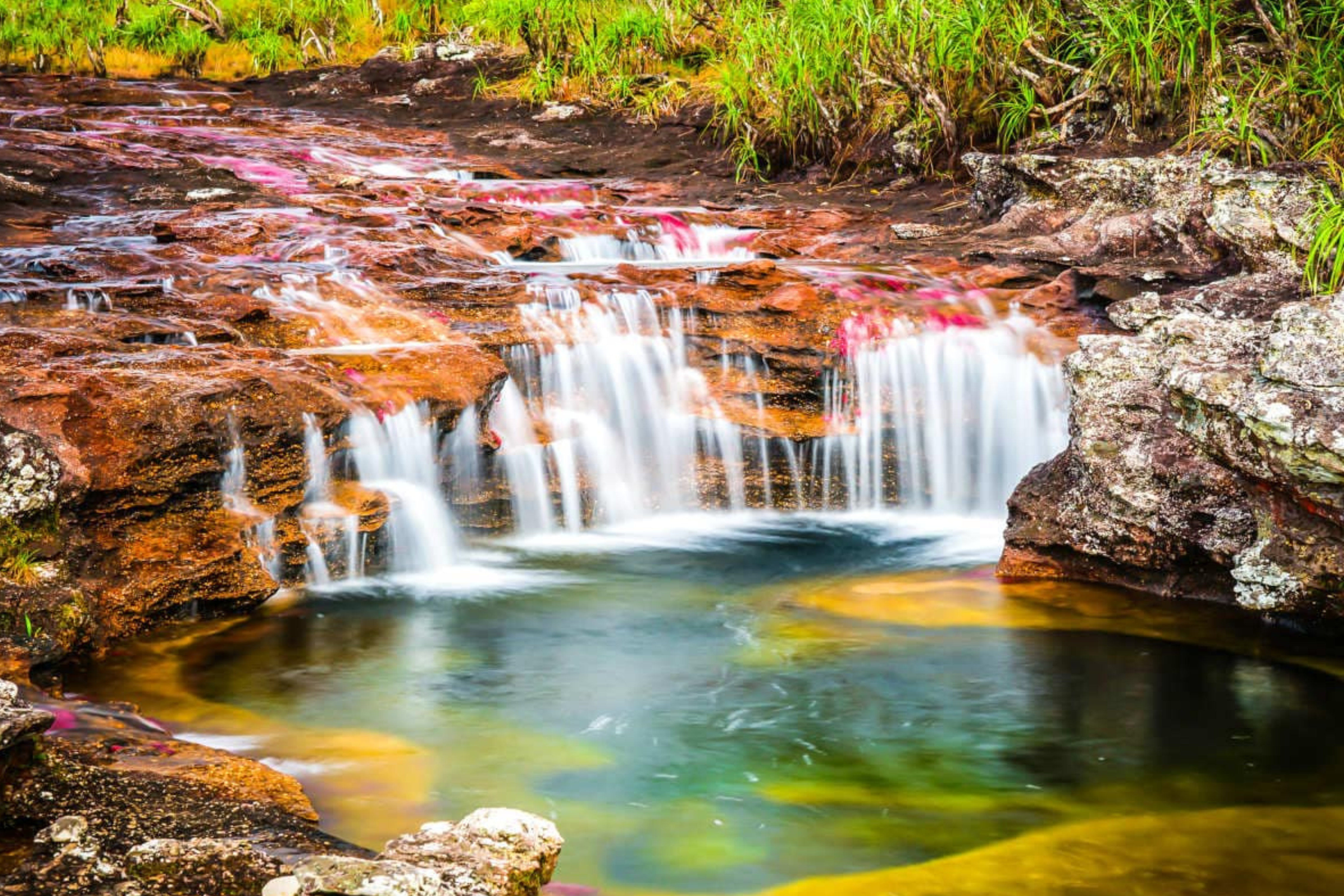 Caño Cristales: el único lago de cinco colores del planeta