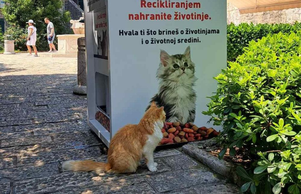 En la ciudad de Kotor (Montenegro) cuidan de sus gatos y del ambiente con una máquina ecológica: das botellas o latas y te devuelve alimento