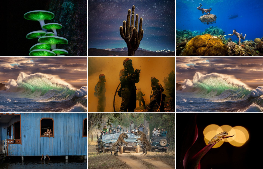 Nueve fotografías ganadoras del 2023 sobre conservación de la naturaleza