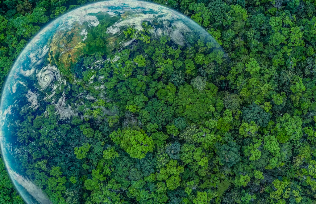 El papel de las instituciones internacionales en la conquista de un planeta más habitable