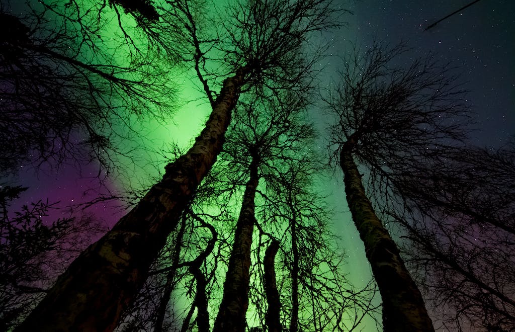 Por qué se avecinan las mejores exhibiciones de auroras boreales de las últimas dos décadas