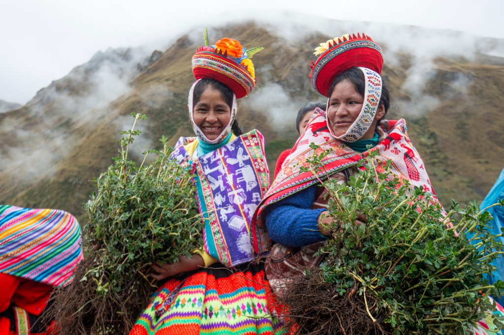 Acción Andina: la ONG que quiere reforestar los Andes