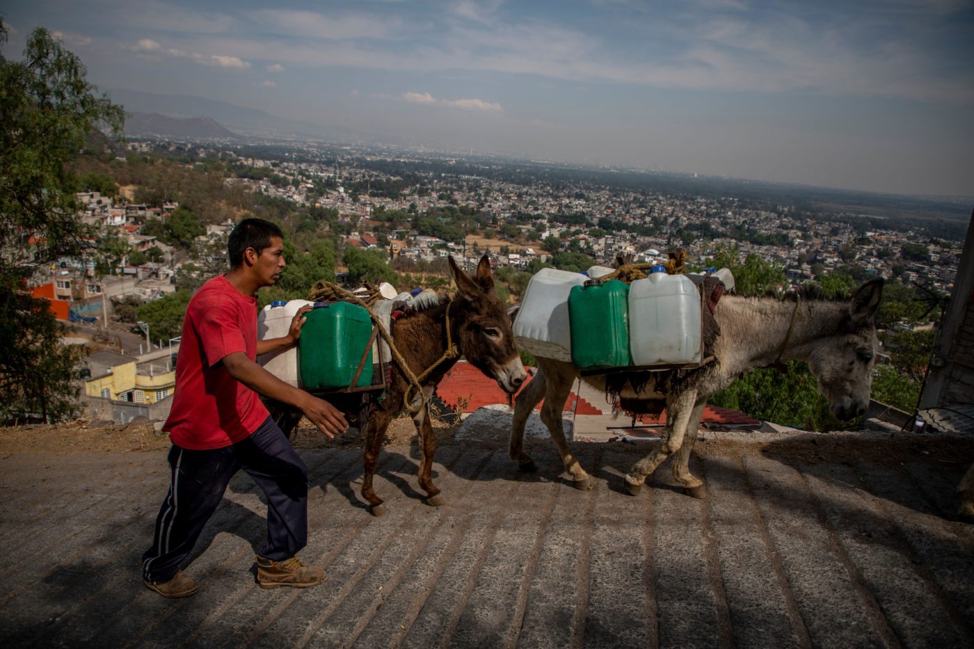 Sequía en México: tres proyectos locales brindan soluciones