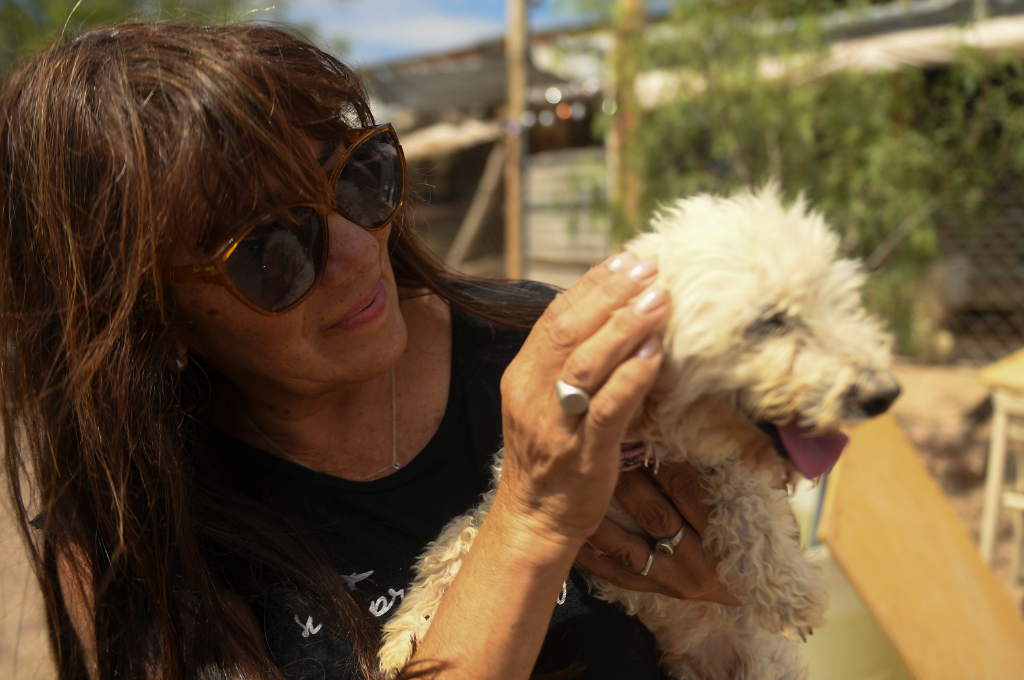 Un refugio para perros "viejos" en Mendoza busca crear conciencia sobre la adopción responsable