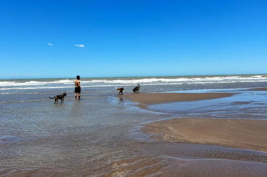 Del fútbol a las rutas: viaja en motorhome con sus perros y eligió las 10 playas más lindas