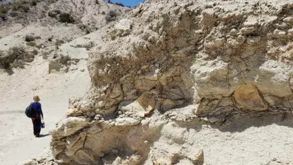 Cañadón de las Ostras: una playa con piezas fosilizadas para meterse en la máquina del tiempo
