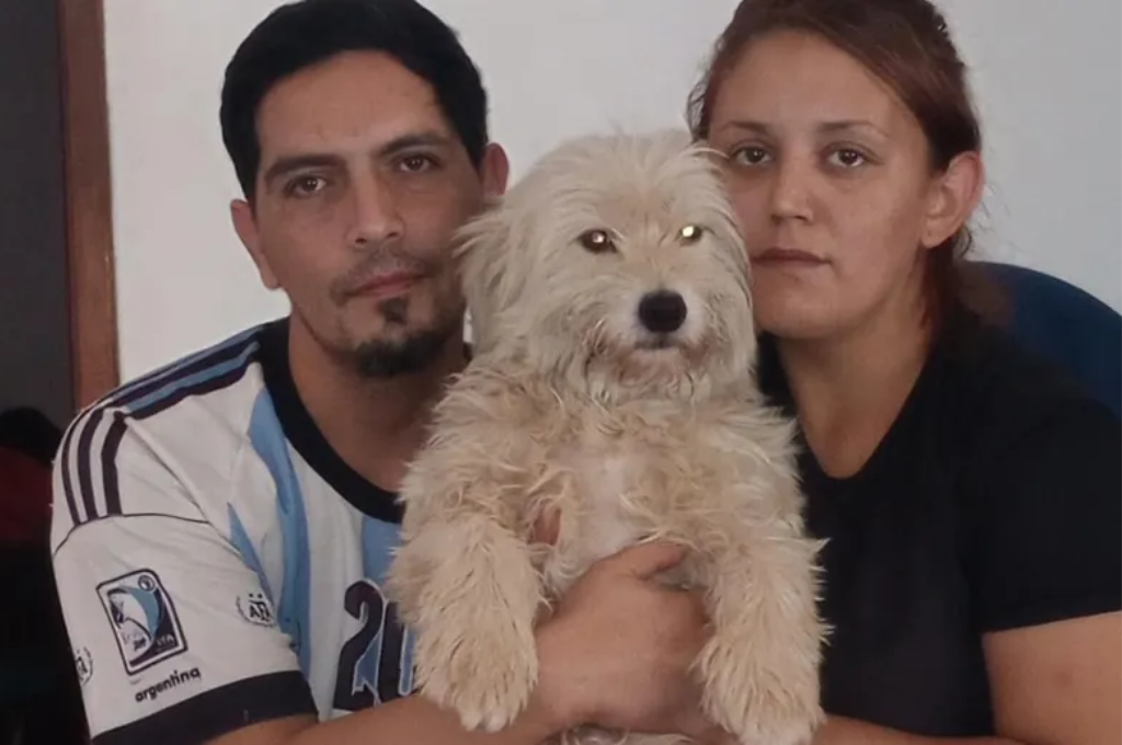 Amor en cuatro patas: un perro ayudó a su hijo con autismo y ahora ella se dedica a salvarlos
