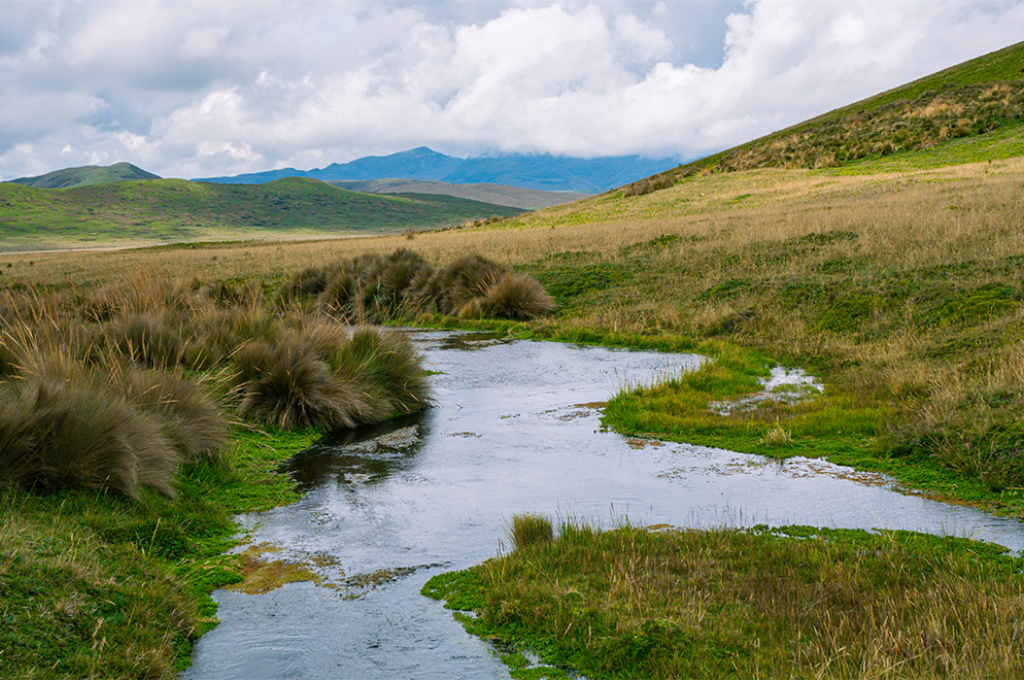 En las áreas naturales protegidas de Ecuador, la única amenaza son las personas