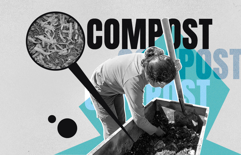 El compost, un arte del cual todos podemos participar
