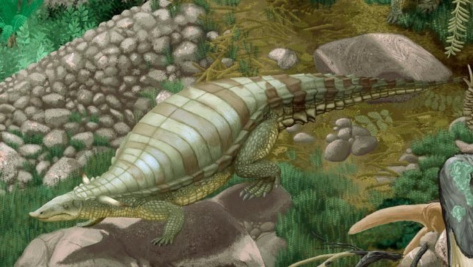 Descubren a un nuevo ancestro prehistórico de los cocodrilos