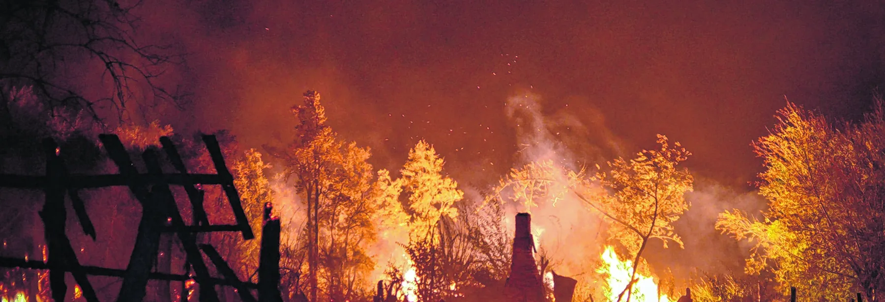 Incendios forestales en la Patagonia, un drama para prevenir y educar
