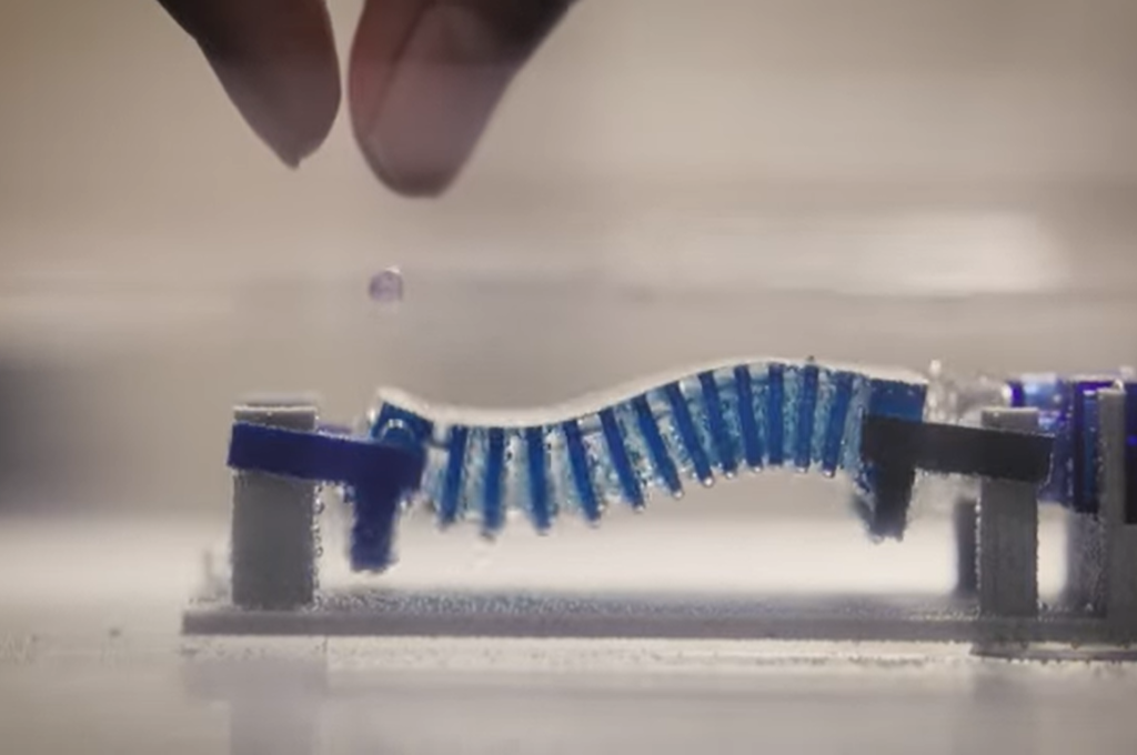 Un prototipo de robot con forma de caracol buscar combatir la contaminación por microplásticos