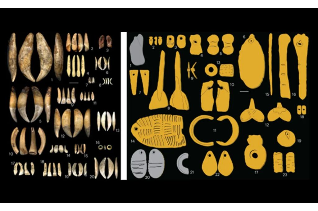 Encuentran en Europa adornos y joyas de hasta 34.000 años atrás: por qué es un hallazgo relevante
