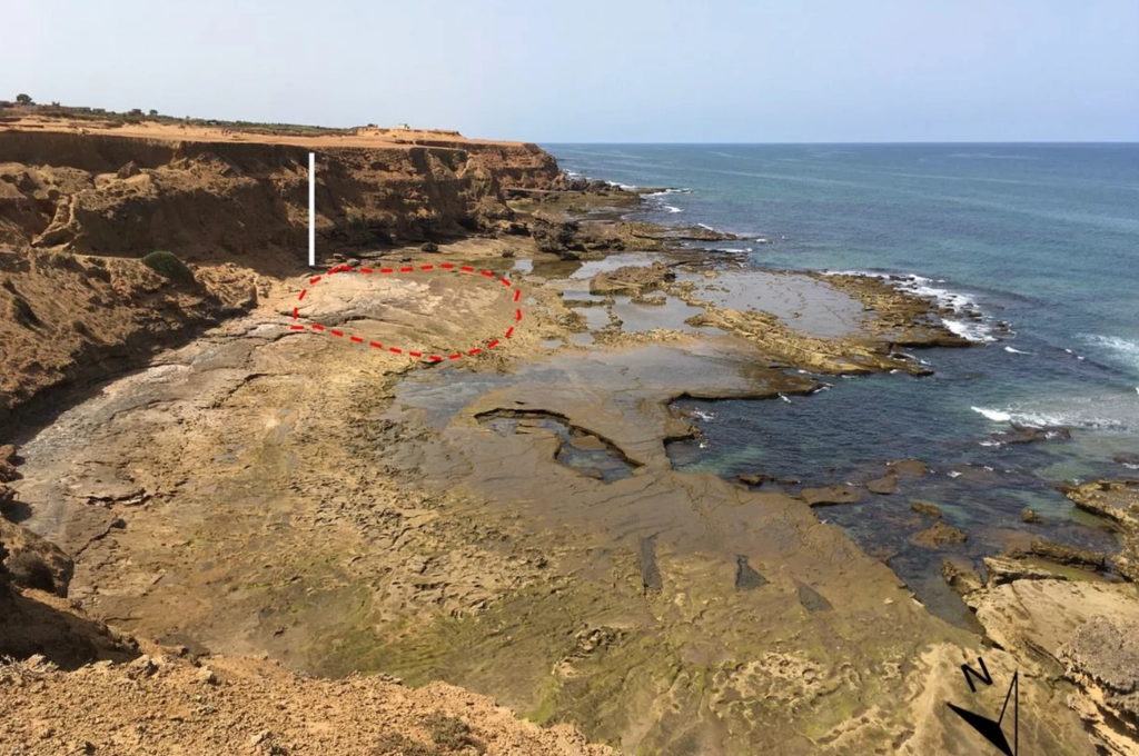 Arqueólogos descubren huellas de hace 90 mil años en una playa marroquí
